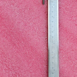 MITUTOYO JAPAN STAINLESS HARDENED 30CM CALIPER